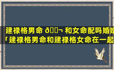 建禄格男命 🐬 和女命配吗婚姻「建禄格男命和建禄格女命在一起好不好」